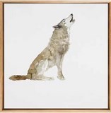 Tableau aquarelle d'un Loup