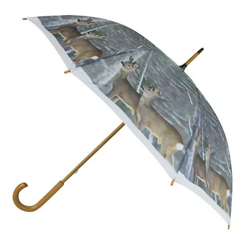 Parapluie biches