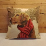 Coussin Golden avec écharpe rouge