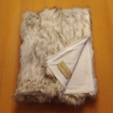 Plaid Arctic Fox Winter Home